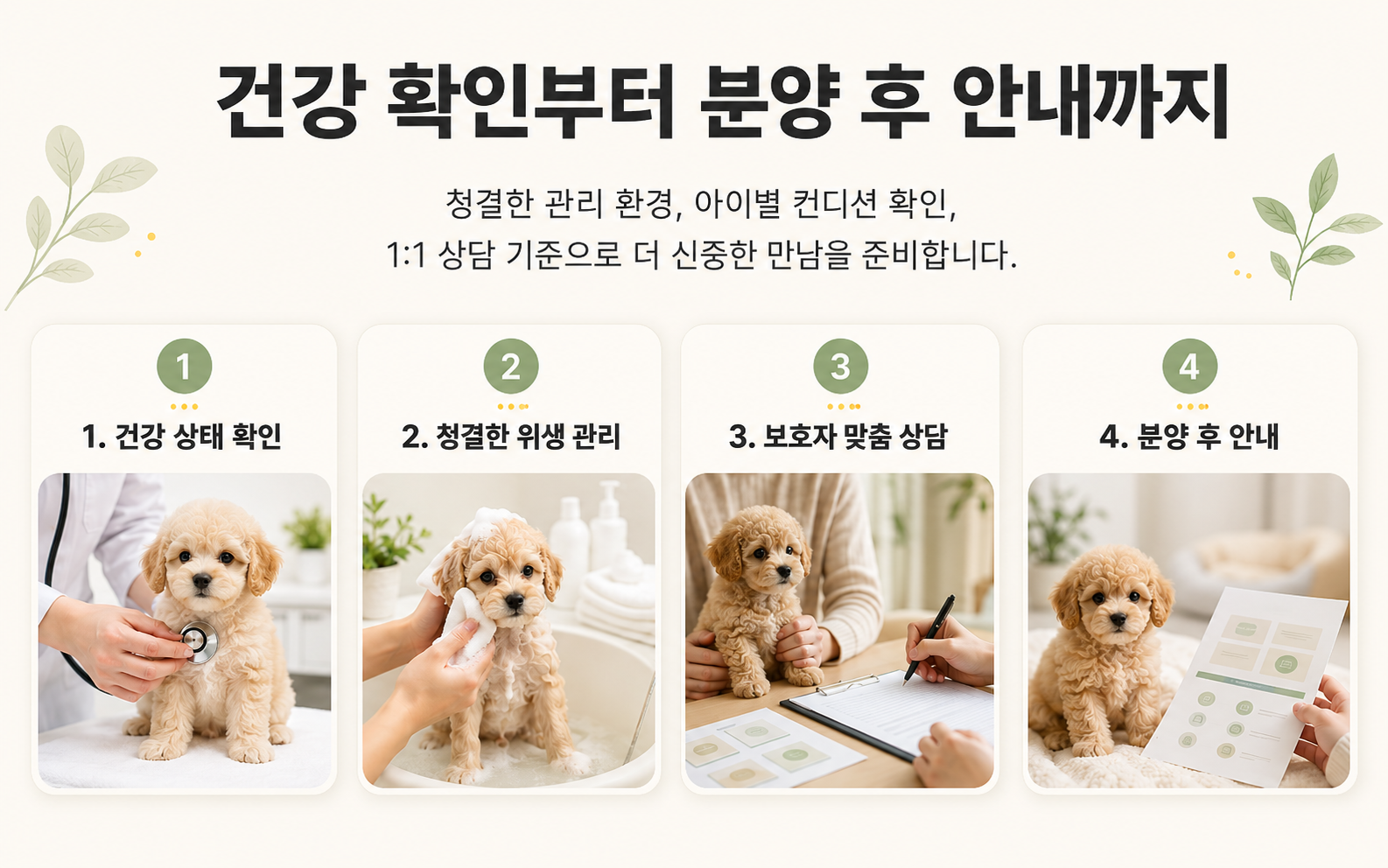 헬스독 건강관리 기준 안내