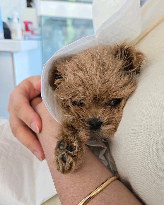 사장님이 엄청 친절하세요! 여기 엄청 청결하게 아이들 잘 케어해주시고 있더라구요~ 이쁜아가 잘 데리고갑니다!
